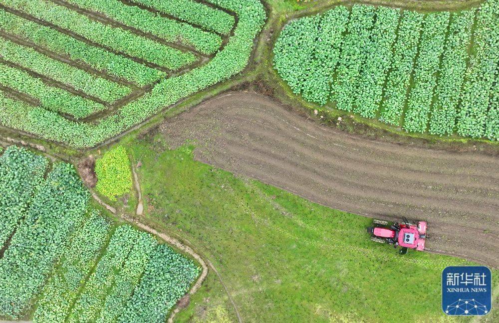 熊大农场破解版下载苹果:抢农时备春耕 夯实粮食丰收基础-第1张图片-太平洋在线下载