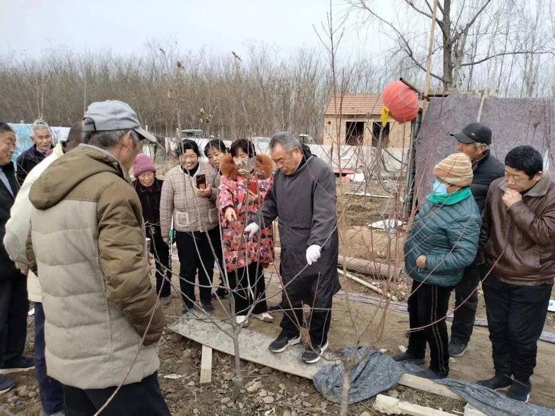 社区e家苹果版
:南城e家·红绣匠-共育系列丨牡丹区林业局果树专家到侯店社区开展果树修剪技术现场指导工作-第3张图片-太平洋在线下载