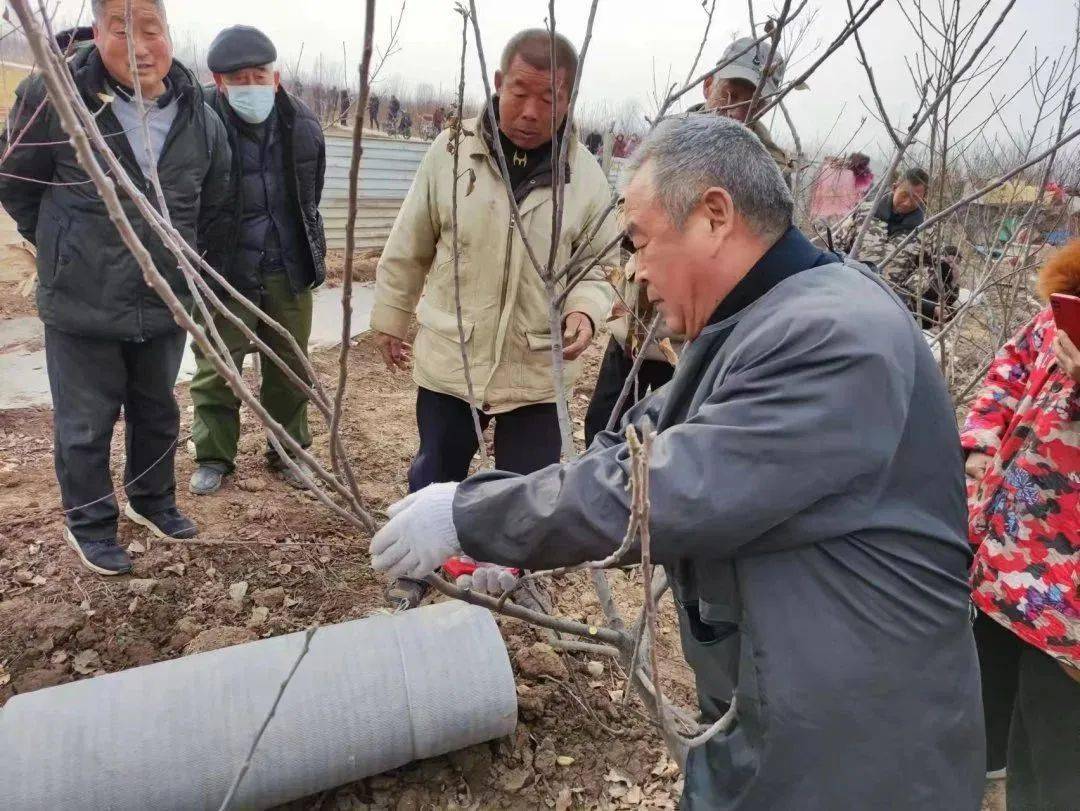 社区e家苹果版
:南城e家·红绣匠-共育系列丨牡丹区林业局果树专家到侯店社区开展果树修剪技术现场指导工作-第5张图片-太平洋在线下载