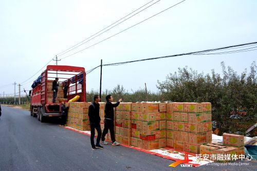 关于苹果产业的新闻报道关于苹果产业发展的调研报告-第1张图片-太平洋在线下载