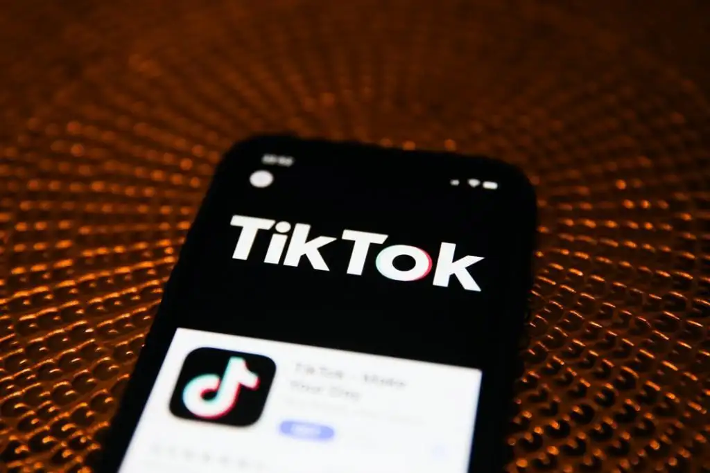 tiktok绿色版苹果版下载tiktok国际版下载ios破解版ipa-第2张图片-太平洋在线下载