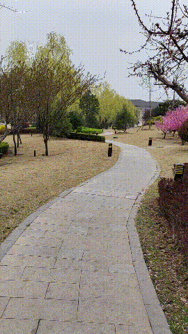 下载公路动态安卓版苹果苹果商店app下载安卓版